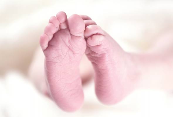 Bayi perempuan berbalut tuala ditemui di kebun kelapa sawit di Sri Gading Bayi perempuan berbalut tuala ditemui di kebun kelapa sawit di Sri Gading
