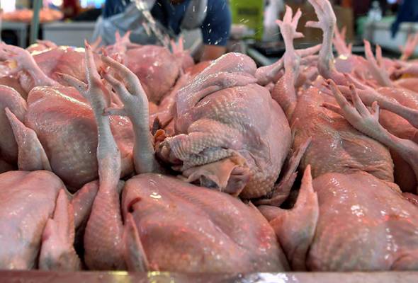 Benarkan aktiviti penyembelihan di pasar basah - CAP Benarkan aktiviti penyembelihan di pasar basah - CAP