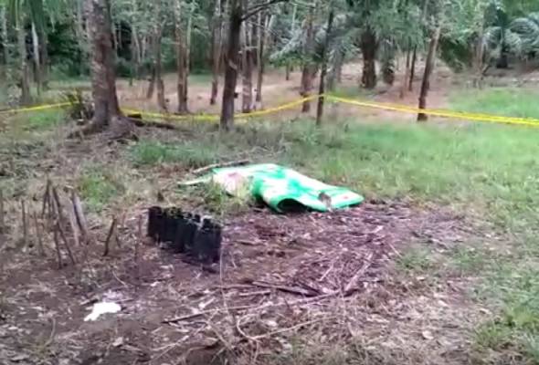 Pemandu jentera keluar memancing ditemui maut Pemandu jentera keluar memancing ditemui maut