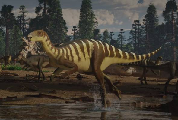Fosil dinosaur tidak bergigi dijumpai di Australia Fosil dinosaur tidak bergigi dijumpai di Australia
