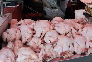 Harga maksimum ayam seperti harga perayaan sebelum ini - Nanta | Astro