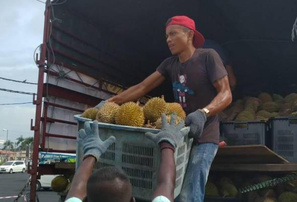 Durian dilelong pada harga murah Durian dilelong pada harga murah
