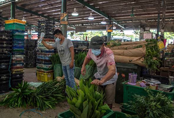 Pekerja asing, pemegang kad UNHCR dilarang masuk Pasar Borong KL - DBKL Pekerja asing, pemegang kad UNHCR dilarang masuk Pasar Borong KL - DBKL