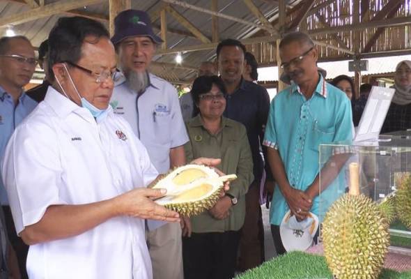Standard Durian Kampung Premium dilancar mudahkan rujukan Standard Durian Kampung Premium dilancar mudahkan rujukan