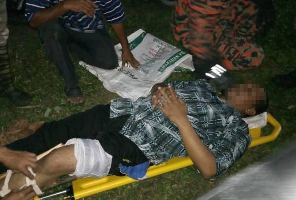 Lelaki patah kaki dihempap pokok Lelaki patah kaki dihempap pokok