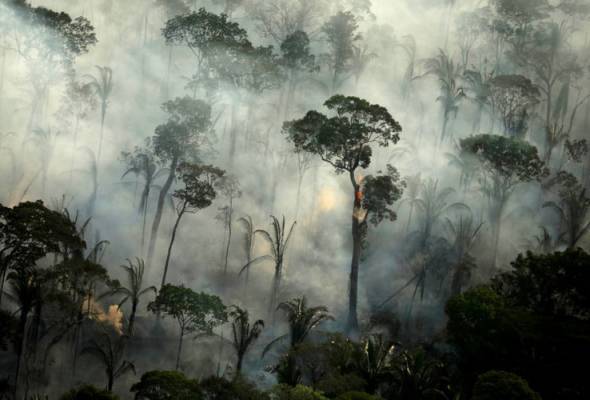 Kemusnahan Amazon: Syarikat gergasi Brazil bergabung desak tindakan segera Kemusnahan Amazon: Syarikat gergasi Brazil bergabung desak tindakan segera