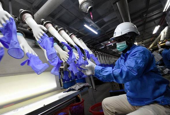 Amerika Syarikat sekat produk Top Glove berhubung isu buruh paksa | Astro Awani