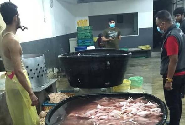 Pusat pemprosesan ayam kotor diarah tutup - DBKL Pusat pemprosesan ayam kotor diarah tutup - DBKL
