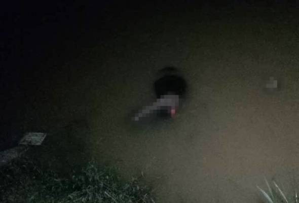 Mayat lelaki ditemui terapung di sawah Mayat lelaki ditemui terapung di sawah