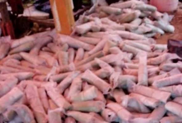 Sembunyi ketum dalam kandang kambing gagal, sindiket cuba guna pondok tengah hutan Sembunyi ketum dalam kandang kambing gagal, sindiket cuba guna pondok tengah hutan