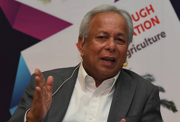 Industri sawit bakal rugi RM15 bln jika isu pekerja gagal ditangani - MPOA Industri sawit bakal rugi RM15 bln jika isu pekerja gagal ditangani - MPOA