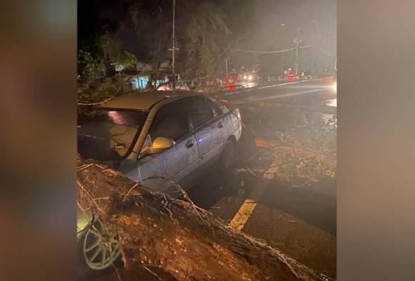 Kereta dihempap pokok ru, suami isteri selamat Kereta dihempap pokok ru, suami isteri selamat