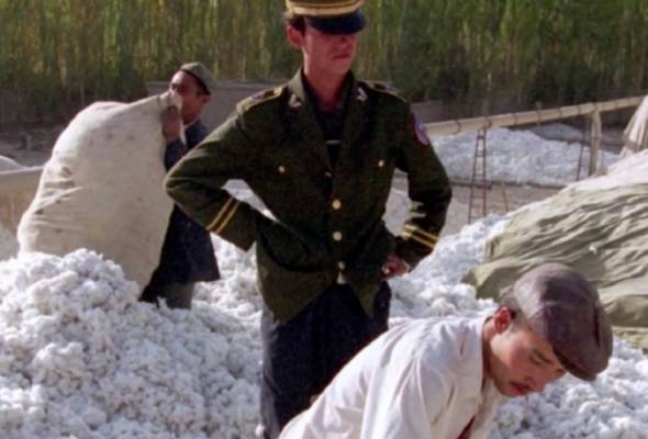 Forced labour and the on-going systematic oppression of the Uyghurs