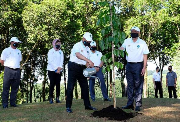 Muhyiddin launches 100 Million Tree-Planting Campaign