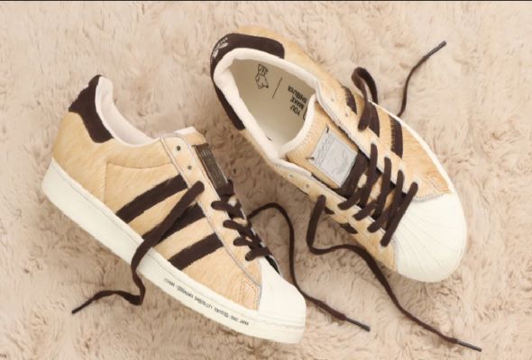 Hachiko, Japan's most famous dog, now has his own pair of adidas sneakers