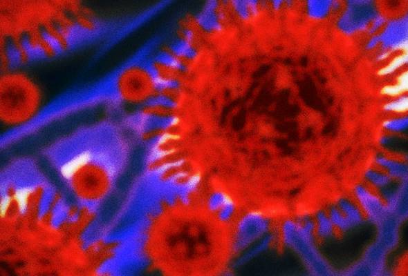 What is 'Eris', the new COVID variant?