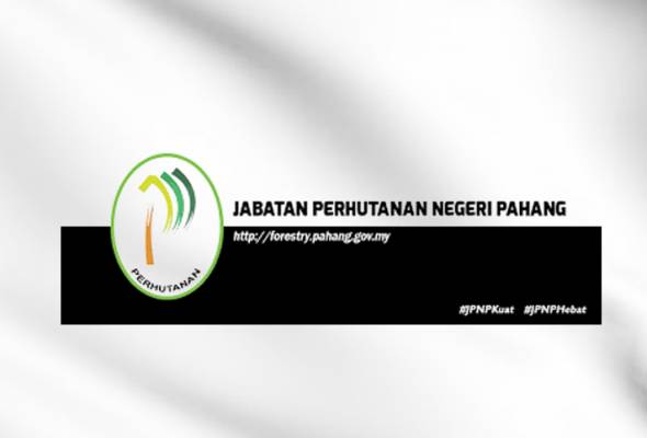 Pahang revokes logging approval on 40.47 hectares of land in Bukit Makro
