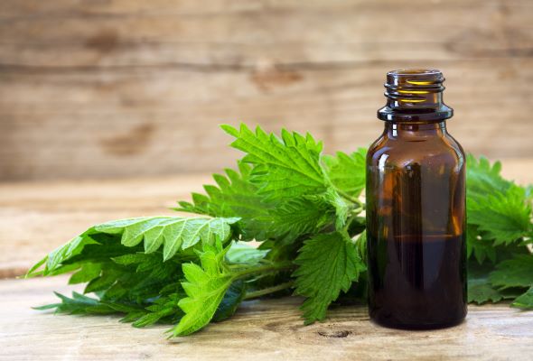 Nettle leaf could be your favorite new beauty ingredient
