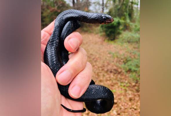 Erotik yalangoch keksa ayollar