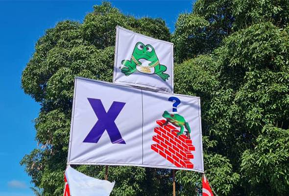 Frogs colony or frogs loyalty? - Azalina