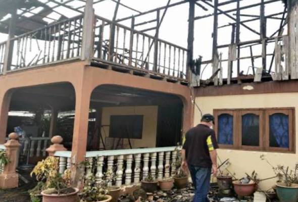 Gerak hati beri kucing makan selamatkan nyawa lima sekeluarga