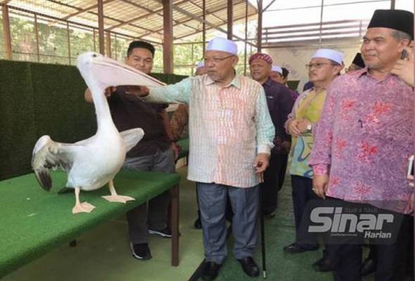 Kuala Krai Mini Zoo springs back to life after 17 years