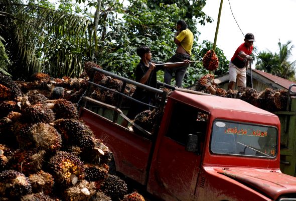 Indonesia imposes temporary freeze on sending migrant workers to Malaysia