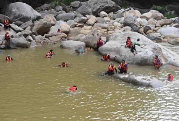 Kenyir Lake: Terengganu Forestry Dept temporarily halts logging activities