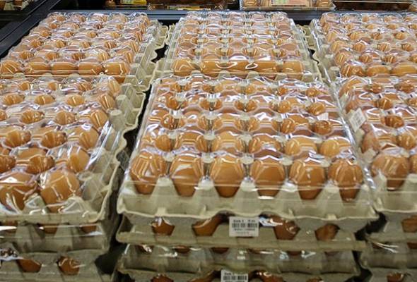 Egg supply still short