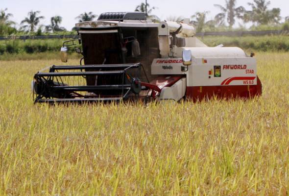 Kesan Cuaca Panas terhadap Kulit – Apa Perlu Diubah? Kesan Cuaca Panas terhadap Kulit – Apa Perlu Diubah?