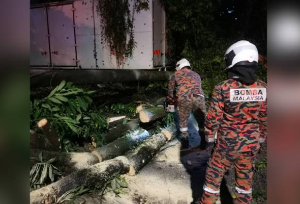 Houses, vehicles damaged by falling trees due to heavy rain, thunderstorms in Selangor