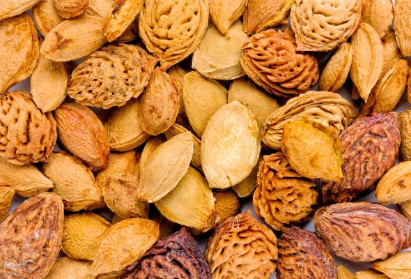 Fruit loop: The circular process of making dairy alternatives from apricot kernels