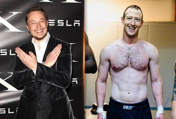 Zuckerberg vs. Musk fight not likely to happen, Meta owner says