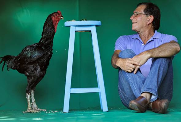 Brazilian farmer's giant rooster hobby hatches into profitable business