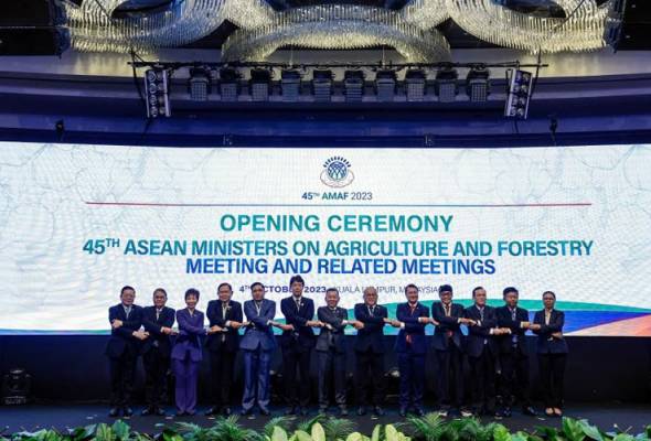 Malaysia to call on ASEAN's main rice supplier nations to prioritise member countries