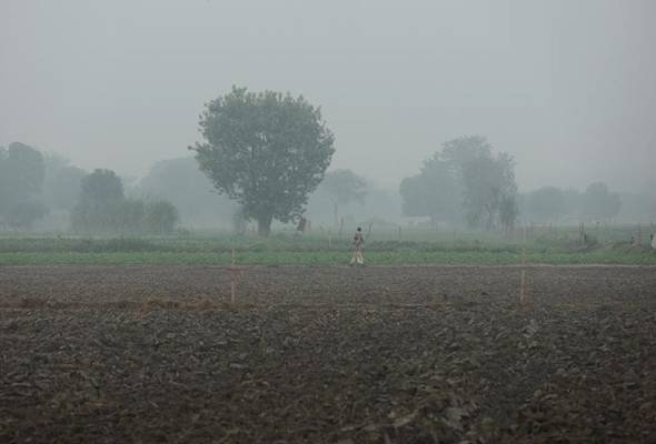 Indian capital gets a breather as rain brings respite from smog