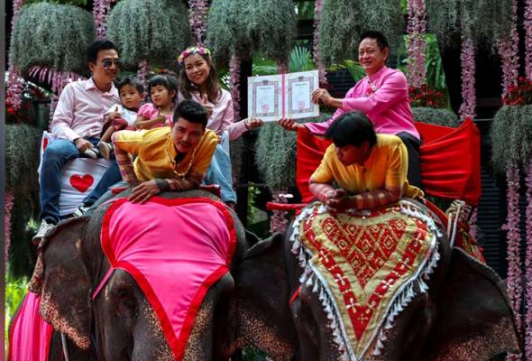 Better than roses: Thai couples marry on elephants for Valentine's Day
