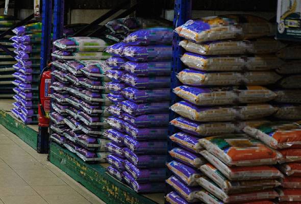 Subsidised rice worth RM2.1mil seized from unlicensed warehouse in Sibu