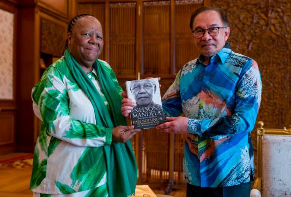 PM discusses BRICS, Palestine issues with ex-South African minister