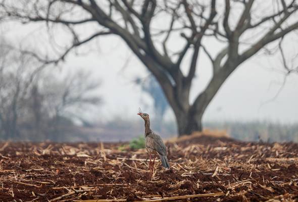 สนง.สลากฯ เตรียมจับรางวัลแจ็กพอต 1.82 แสนบาท