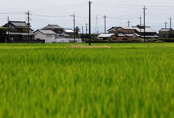 แจกเครดิตฟรี 100 บาท