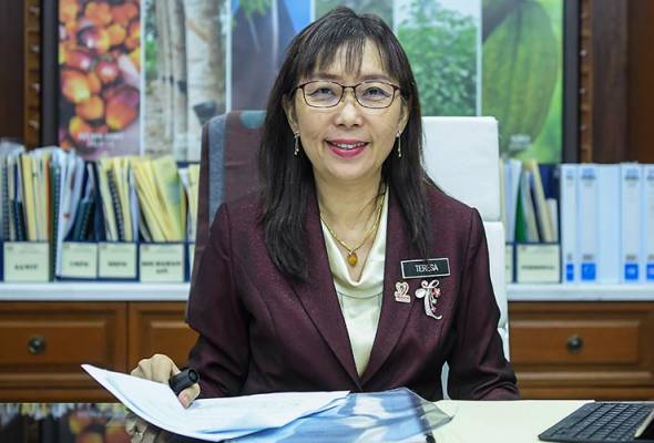 Teresa Kok to give statement to police tomorrow over halal certification remarks