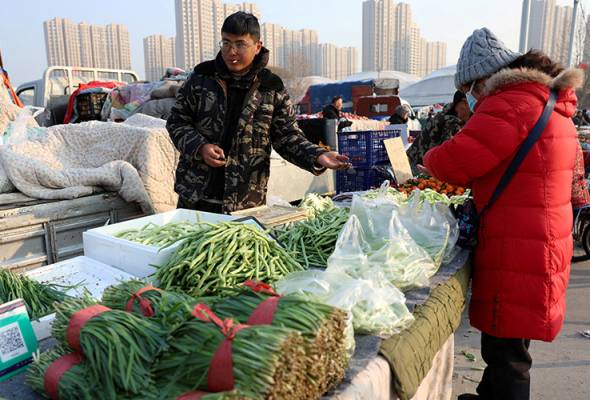Chinese study recommends region-specific diets, amid rising obesity risks