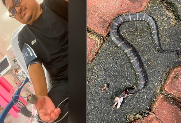 Onlaynda eshakda katta sik bilan porno tomosha qiling Erin Kammingsning yalangoch fotosurati Spartak