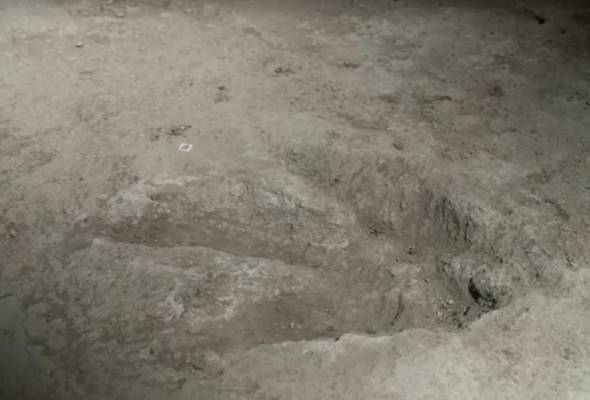 Jurassic highway: Hundreds of dinosaur footprints found in UK quarry