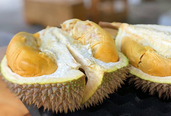 Malaysian fresh durians command premium status in China market