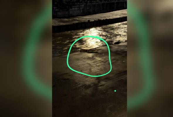 Qiziqarli jinsiy aloqa rasmlar