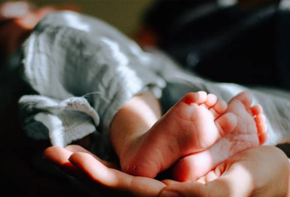 Kelahiran bayi Korea Selatan naik 15 bulan berturut-turut