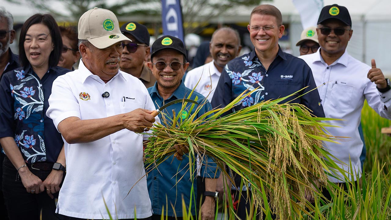 Pertanian moden adalah sektor masa depan Malaysia - Tinjauan