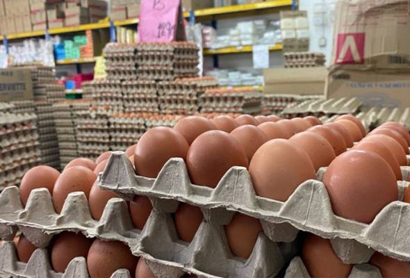 KPDN nasihat orang ramai salur maklumat harga telur ayam naik drastik